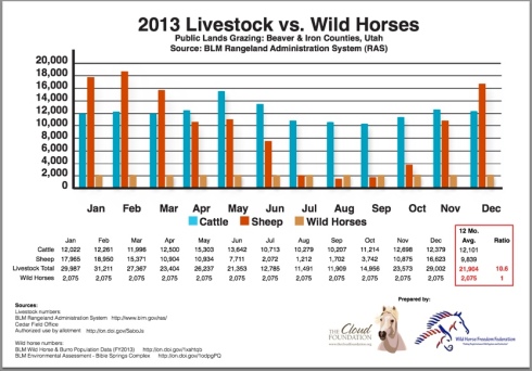 Livestock vs. Wild Horses_BLM RAS 2013_Iron Beaver Counties